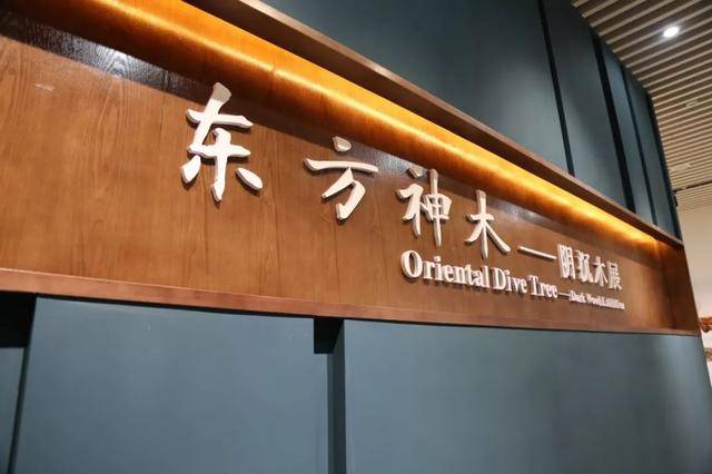 贵港自然博物馆今日正式开馆大量珍藏品一般人没见过