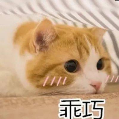 一口气拔光满脸的黑头,巨干净的毛孔呼吸都畅