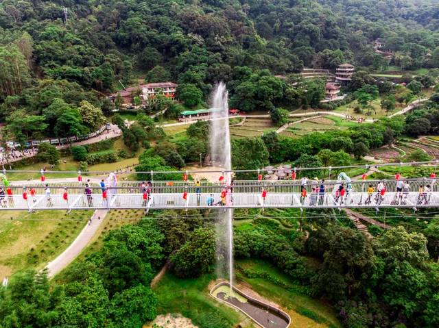 * 以上图片仅供参考  地址:广州市增城区小楼镇(二龙山景区内)