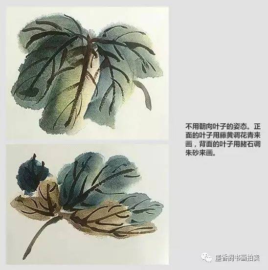 国画秋海棠的画法,步骤非常详细!(视频教学)