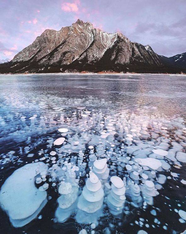 160万人围观猫片,INS另类博主亲身示范:释放天