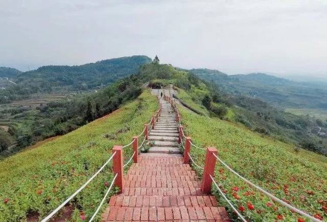 年9月28日起 活动地点:上马寺花果观光园(合川区肖家镇啸马村白马庙)