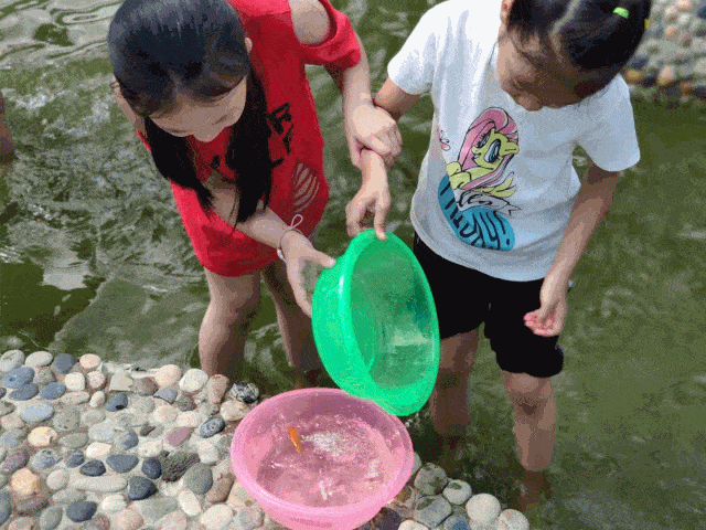 摸鱼乐哈哈