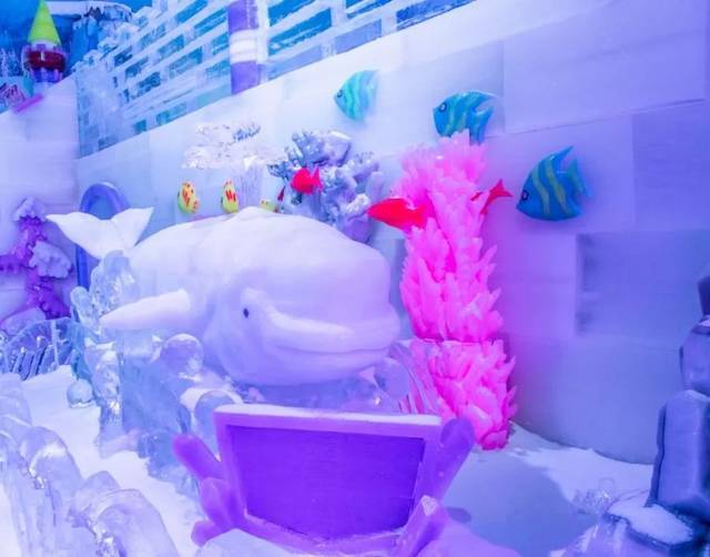 万众期待的长鹿冰雪世界终于来啦!赶紧来围观