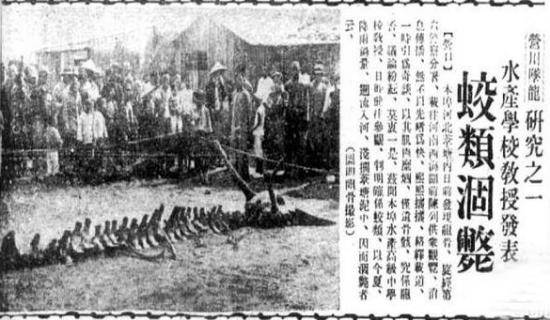 分别是1934年的营口坠龙事件,以及1999年武汉磨山景区树倒之谜