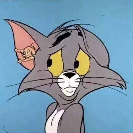 头像| 猫和老鼠