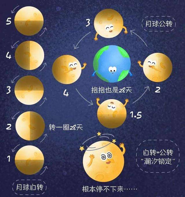 月球也会自转,为何我们看月亮的样子从来不变?地球引力控制了它