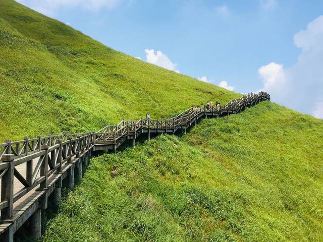 去宜春泡温泉,观明月千古情,登明月山,漫步高山草甸的