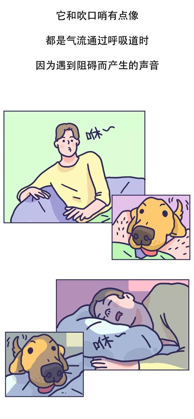 深夜,又被烦人的声音吵醒了