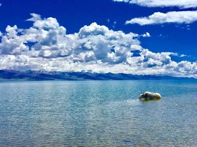 世界上最高的咸水湖在中国——西藏纳木错湖