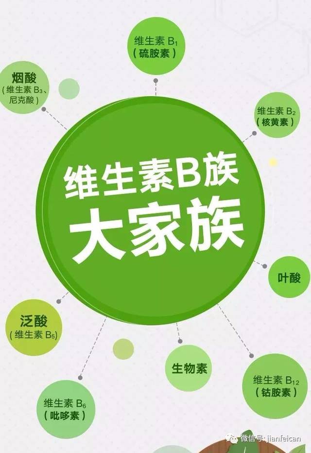 b族维生素有助于减肥的关系你知道她有哪些减肥功效吗