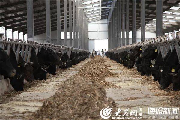 阳信县委书记栾兴刚登上新闻联播!