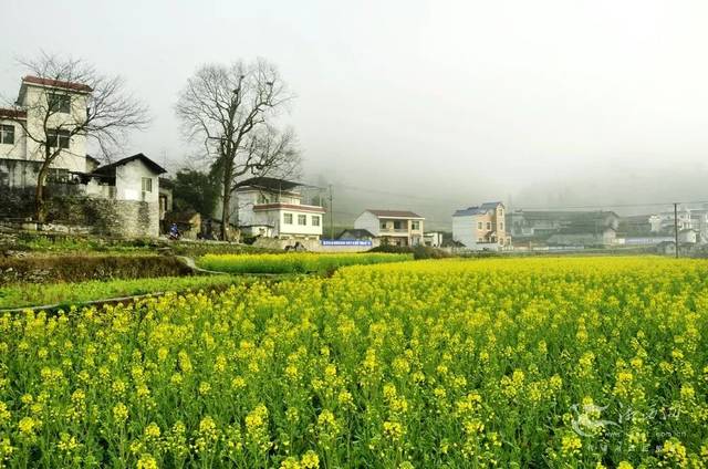 凤凰县新场镇合水村  滕建康/摄