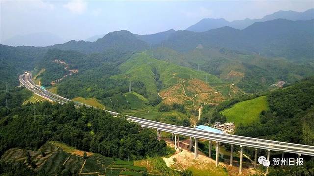 梧柳高速 贺巴高速今天通车.广西这几条高速传来新消息