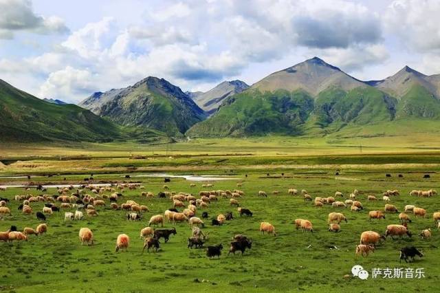 【共和国之恋】献给祖国的歌-深情中音萨克斯