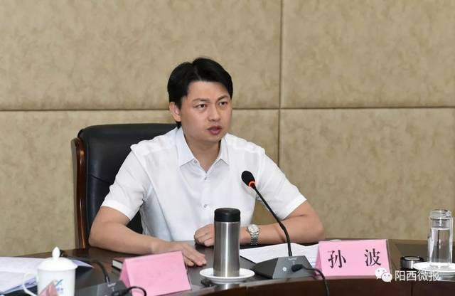 孙波主持召开县委常委会会议丨努力开拓阳西高质量发展新路子