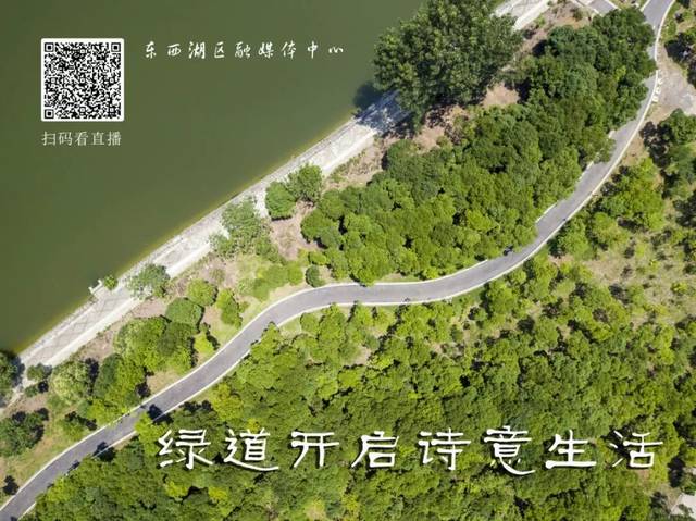 【直播预告】明天,来跑跑?金银湖 42 公里绿道全线贯通