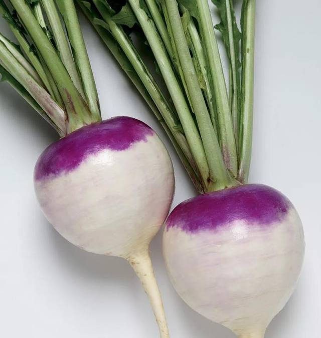 图二 | turnip 将这两个放在一起的原因是,其实这两种根茎都是中餐