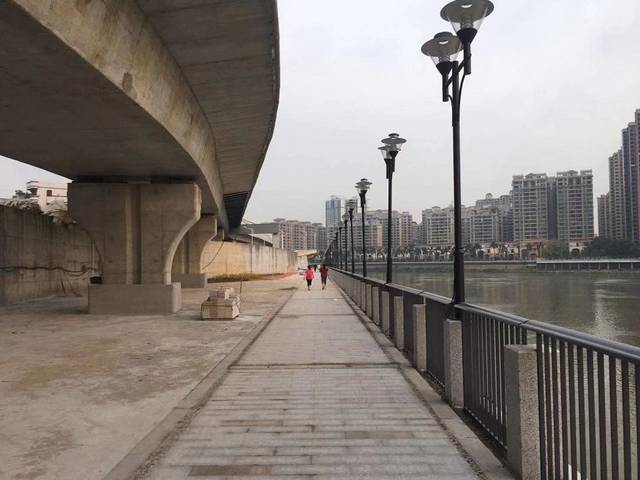 石湾大桥下面的这条亲水绿道,已经有街坊上去体验了!