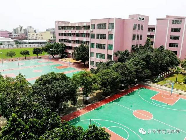 传承红色基因向国旗敬礼开平市东河初级中学2019年庆祝中华人民共和国