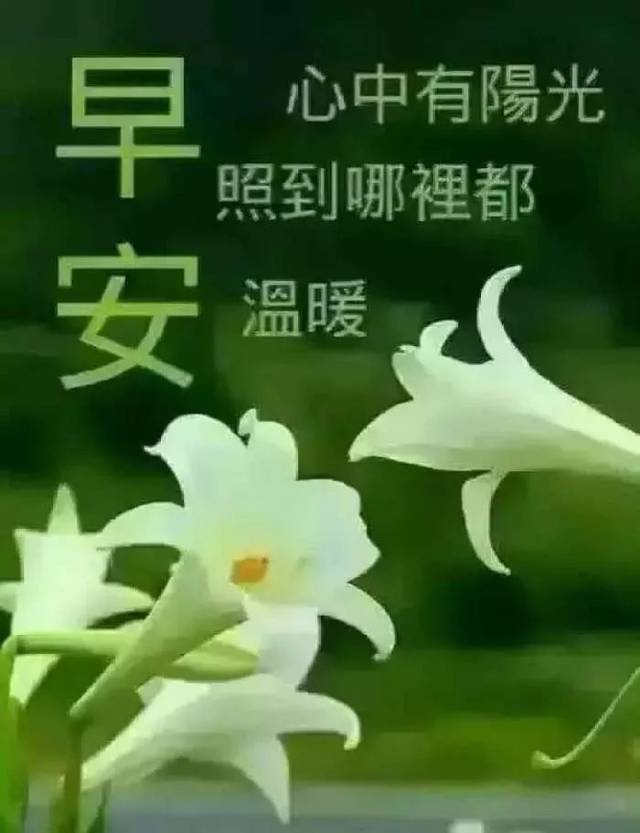 早安心语正能量阳光一句话 分享朋友圈的阳光心语