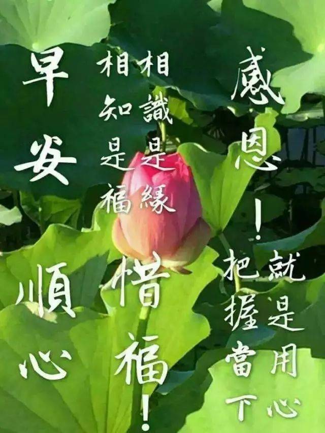 幸福暖心的早安漂亮祝福美图,最特别的早上好问候句子