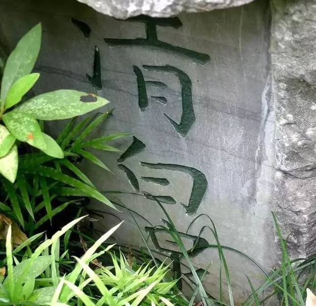 "清白泉"杯全国清廉诗歌散文大赛征稿评选揭晓