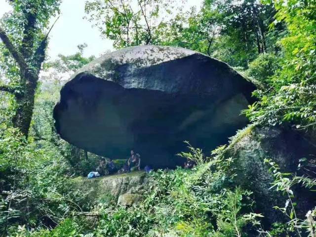 资源县又一旅游景点诞生,土江原始森林养生谷,人间仙境!