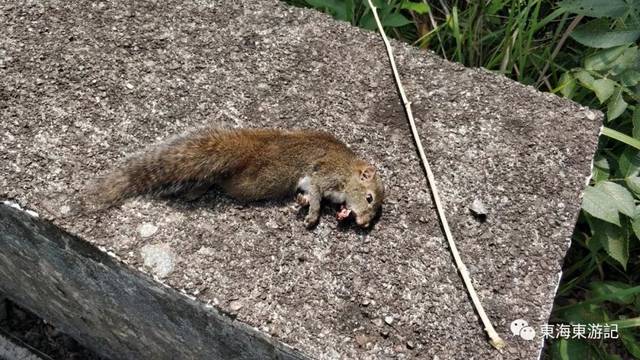 中秋月圆时,探访浙江挂壁公路和温州鬼村(内附