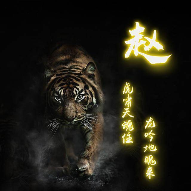 20多张老虎,凤凰微信头像,可以换上你的姓氏,应该换一