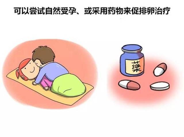 促排卵药物有哪些呢