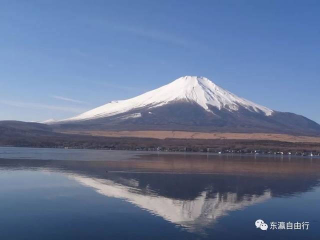 日本归化签证申请最快大概要多久?条件有哪些