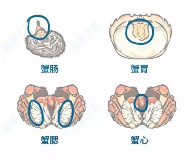 凉内衣的正确方法图片_人走茶凉图片(3)