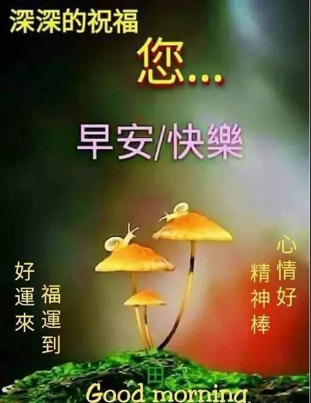 2019最新群发早上好问候动态表情图片 ,暖心早上好图片表情祝福语录