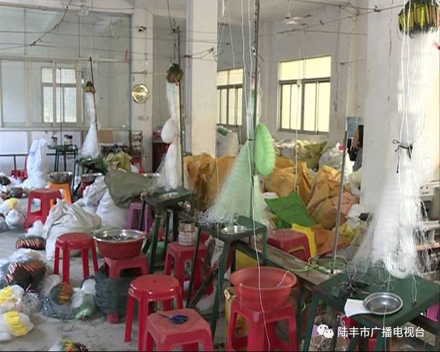 市,局林奕志,市林广实也就南塘镇推进