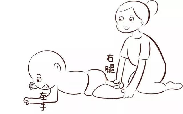 4 准备开始爬行了 俯卧练习 宝宝5,6个月的时候,可以经常让宝宝俯卧在