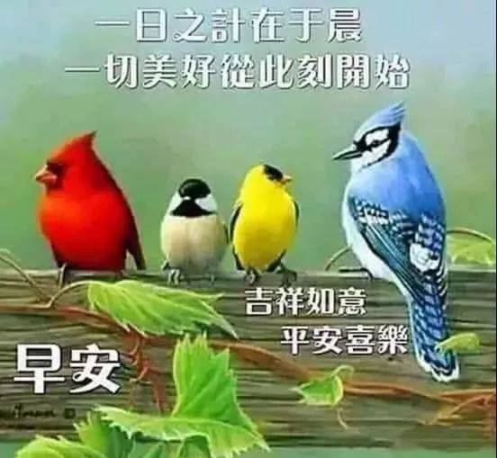 10月6日星期天群发早上好问候祝福动态表情图片 最美早晨好问候表情