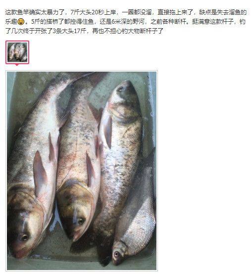 螺纹钢鱼获秀:请叫我断货王