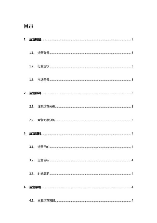 运营方案范文