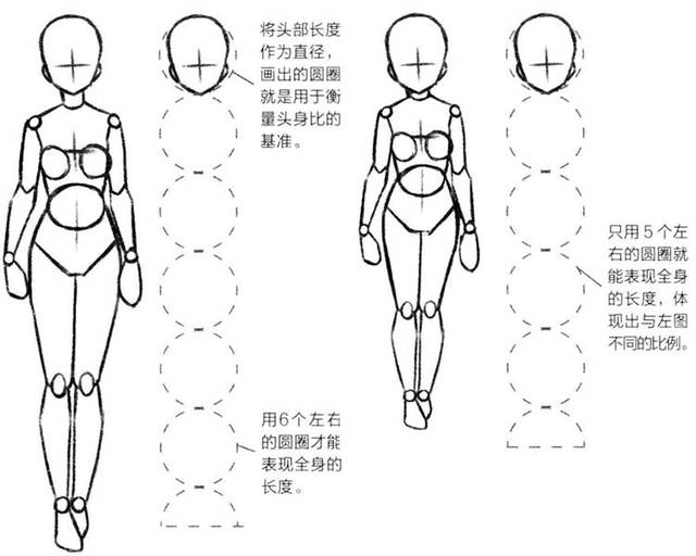 只用5个左右的圆圈就能表现出全身的长度,体现出与左图不同的比例(如