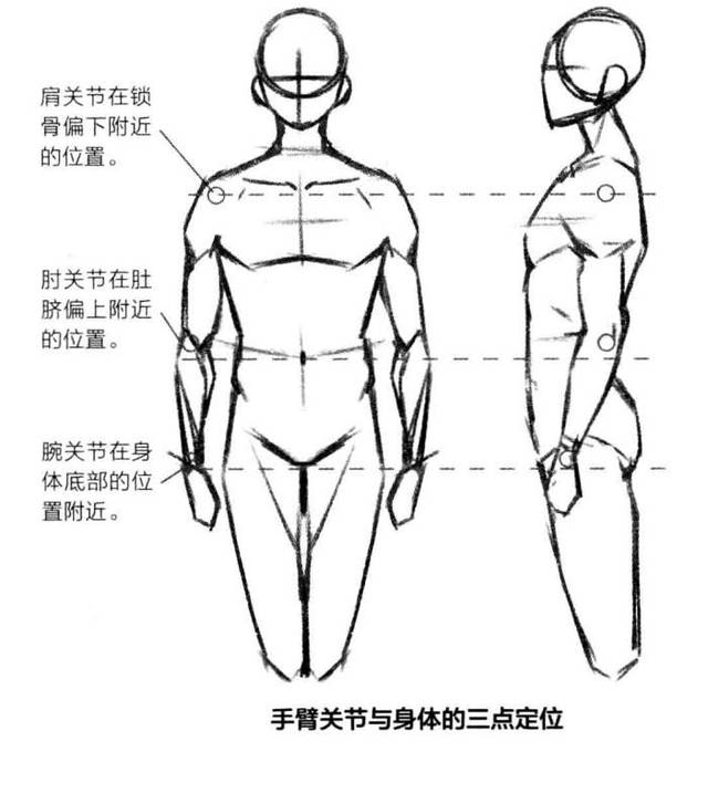 动漫人体比例怎么画?动漫人体比例的详细画法!