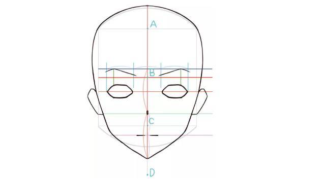 人物脸部轮廓怎么画?教你轻松绘画脸部轮廓的画法!