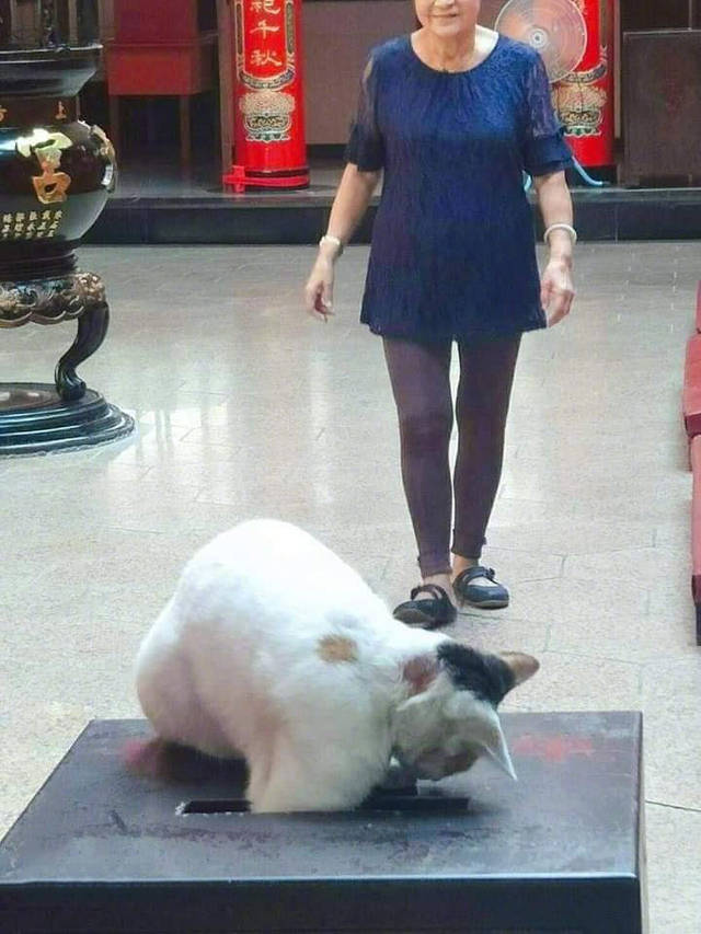 原创搞笑趣图:我只是想告诉你一个道理,只要有我在你永远是个臭弟弟