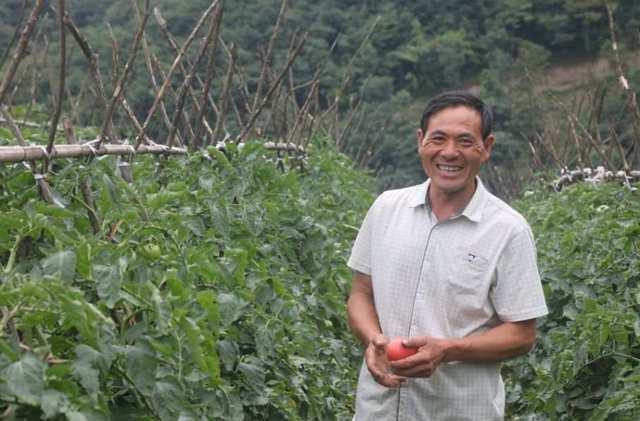 湖北宜昌"宜昌楷模"9月份上榜人物,小学教师曾朝平被表彰