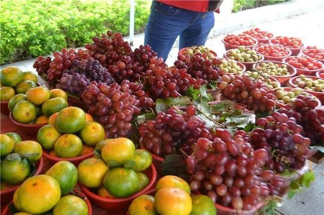 广西是个大果园,一年四季水果不断,你知道每个月都有什么水果吗?