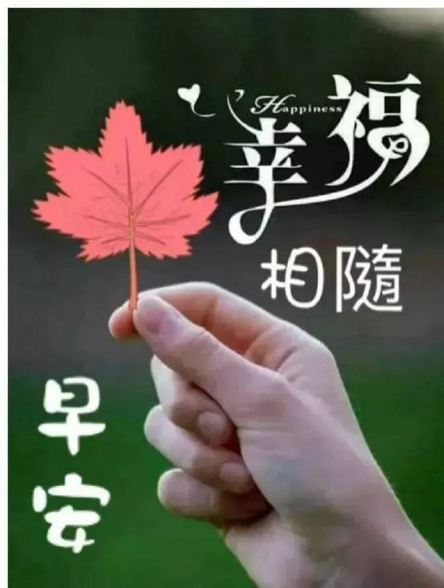 九月十一早上好的问候语图片 周三早上好表情带祝福句子