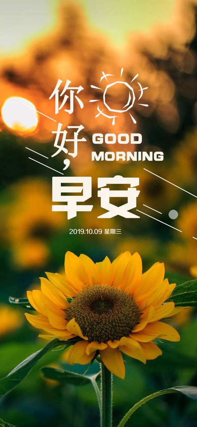 周三早安心语正能量最火语录句子 好看的早上好图片带