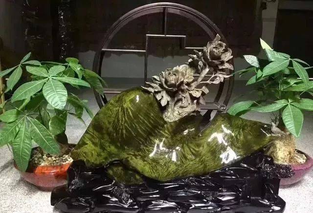 如樟木,重阳木,红锥,质地,黄连木,油杉,桐木等,这些树木往往楠木v樟木定型机煤改气图片