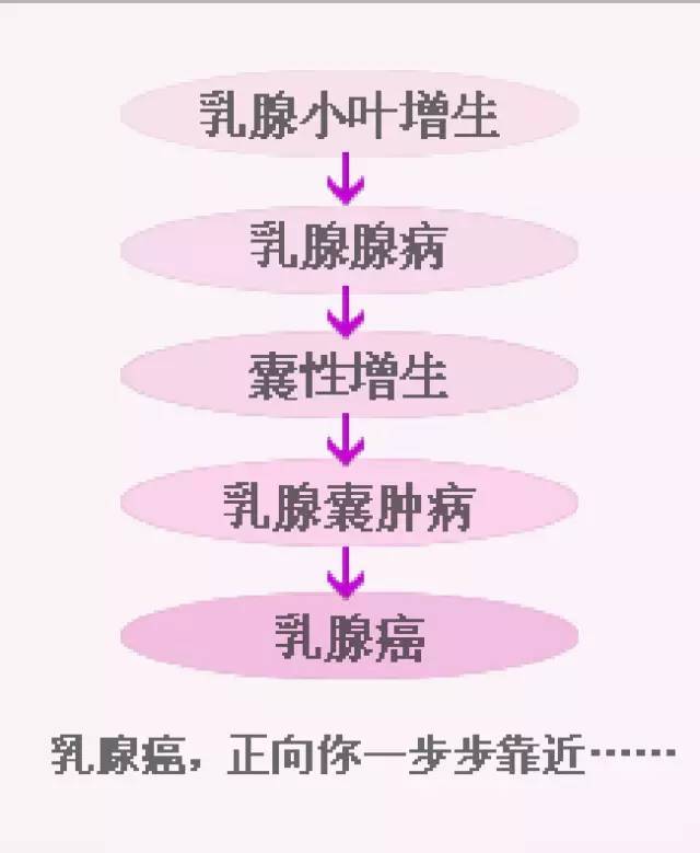 【粉红十月,关爱乳房】远离乳腺癌,预防胜于治疗!