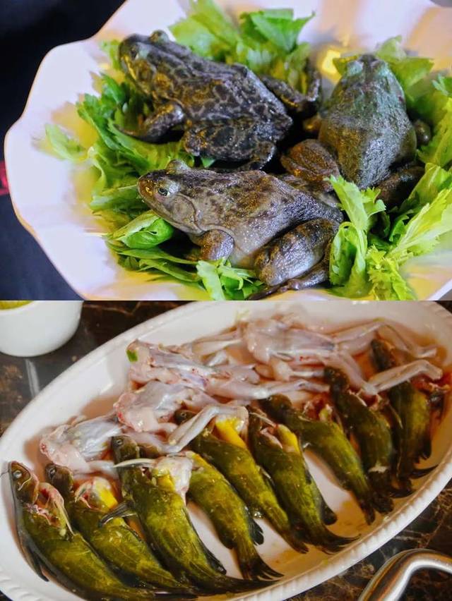 偶尔撞见的这家店,川音板娘为我们现炒了一锅"鲜活!在江阴真少见